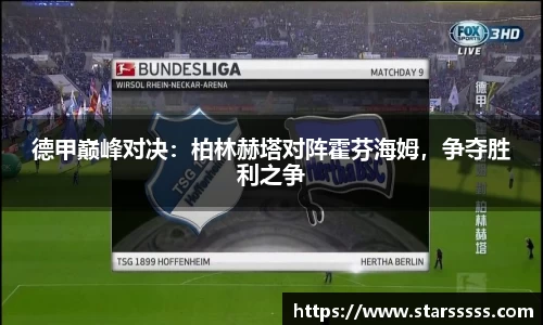 德甲巅峰对决：柏林赫塔对阵霍芬海姆，争夺胜利之争