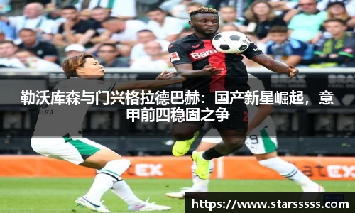 勒沃库森与门兴格拉德巴赫：国产新星崛起，意甲前四稳固之争
