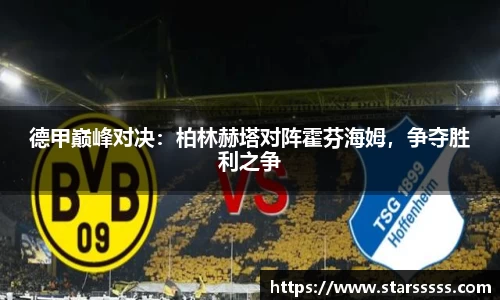 德甲巅峰对决：柏林赫塔对阵霍芬海姆，争夺胜利之争